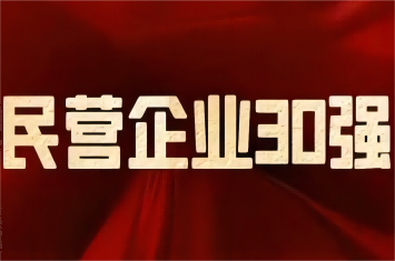 南阳民营企业及制造业30强榜单发布，乐动手机网页版登录入口集团荣登前三